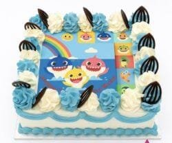 Baby Shark photo birthday cake with edible image, blue and white fresh cream rosettes, and chocolate leaf decorations