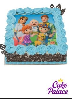 Kids Cakes Sheffield | Cartoon & Theme Cakes | Cake Palace