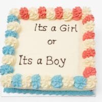 It's a Girl or It's a Boy Egg-Free Fresh Cream Gender Reveal Cake with pink and blue rosette border