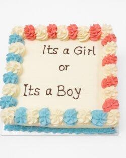 It's a Girl or It's a Boy Egg-Free Fresh Cream Gender Reveal Cake with pink and blue rosette border