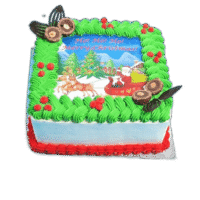 Egg Free Christmas Scene Photo Cake with edible Christmas image, green festive icing, Ferrero Rocher chocolates and chocolate fans, handmade in Sheffield