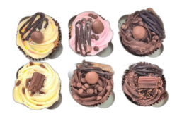 6 PCS CUPCAKES