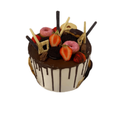 Doughnut Delight