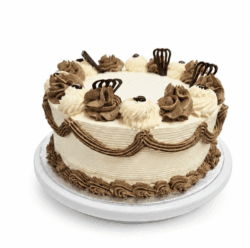 Classic Chocolate & Vanilla Celebration Cake decorated with smooth vanilla buttercream, chocolate buttercream swirls, elegant chocolate piping, chocolate decorations, and a plain centre for a personalised message. Freshly made in Sheffield.