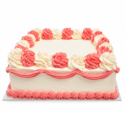 Pink and white square celebration cake with smooth vanilla cream frosting, alternating pink and white buttercream swirls, decorative pink wave piping around the sides, matching pink shell border, and a large blank centre ready for a personalised edible image or custom message.