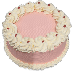 Round pink fresh cream celebration cake decorated with white fresh cream rosettes, cherry accents, and space for a personalised message.